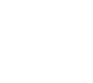 eConcordia icon white