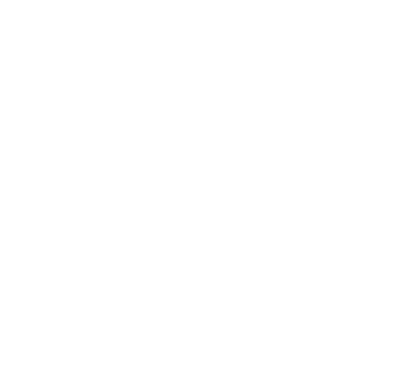 eConcordia icon white
